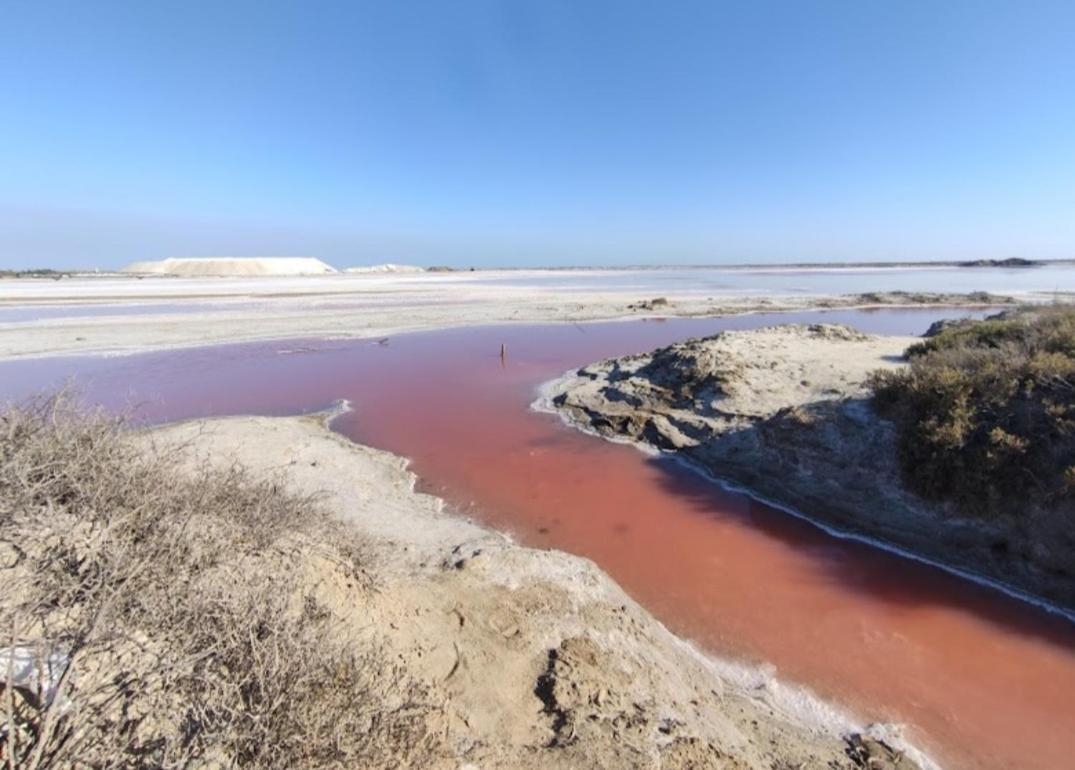 Villa Semaphore Salin-de-Giraud Exteriér fotografie